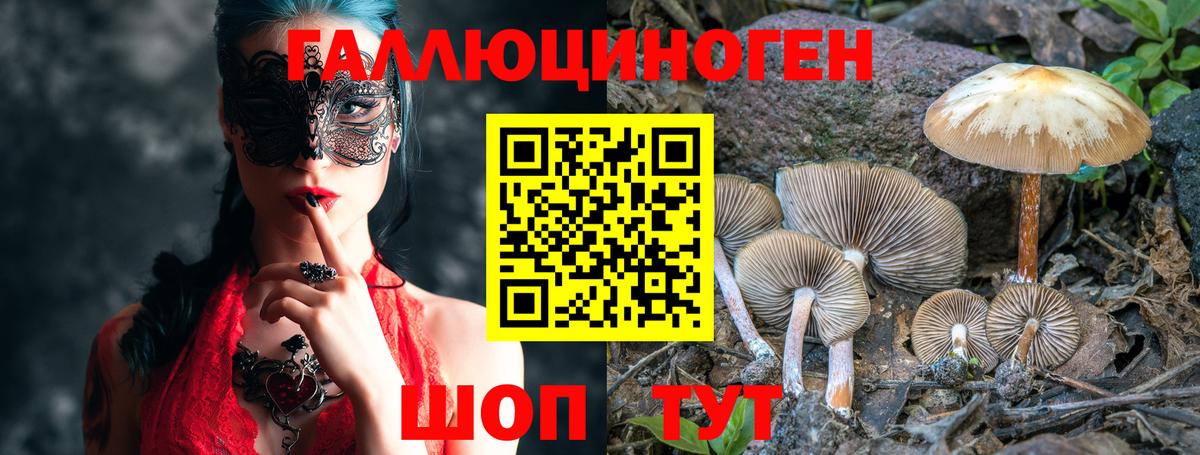 Псилоцибиновые грибы Psilocybe  Вход с VPN  Галлюциногенные грибы Psilocybine cubensis  Кемерово 
